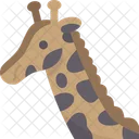 Giraffe Safari Wildlife Icon