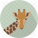 Giraffe Head Mammalia Icon