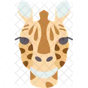 Giraffe Head Mammal Icon