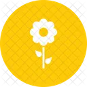 Girasol  Icono