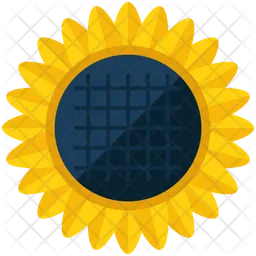 Girasol  Icono