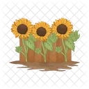 Girasol Flor Naturaleza Icon