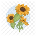 Girasol Flor Naturaleza Icon