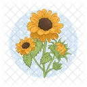 Girasol Flor Naturaleza Icon