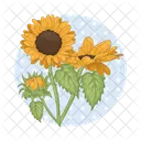 Girasol Flor Naturaleza Icon