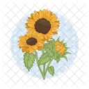 Girasol Flor Naturaleza Icon