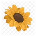 Girasol Flor Naturaleza Icono