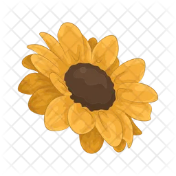 Girasol  Icono