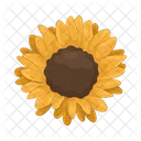 Girasol Flor Naturaleza Icono