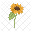 Girasol Flor Naturaleza Icon