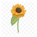 Girasol Flor Naturaleza Icon