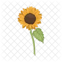 Girasol Flor Naturaleza Icon