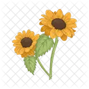 Girasol Flor Naturaleza Icon