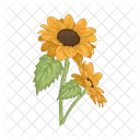 Girasol Flor Naturaleza Icon