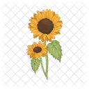 Girasol Flor Naturaleza Icon