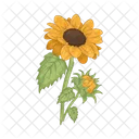 Girasol Flor Naturaleza Icon