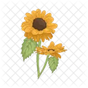 Girasol Flor Naturaleza Icon