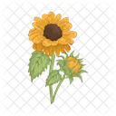 Girasol Flor Naturaleza Icon