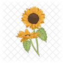 Girasol Flor Naturaleza Icon