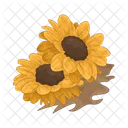 Girasol Flor Naturaleza Icono