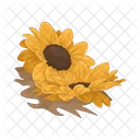 Girasol Flor Naturaleza Icono