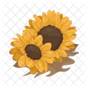 Girasol Flor Naturaleza Icono