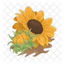 Girasol Flor Naturaleza Icon