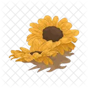 Girasol Flor Naturaleza Icono