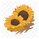 Girasol Flor Naturaleza Icono