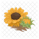 Girasol Flor Naturaleza Icon