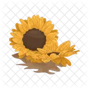 Girasol Flor Naturaleza Icono