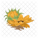 Girasol Flor Naturaleza Icon