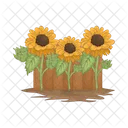 Girasol Flor Naturaleza Icon