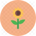 Girasol Flor Naturaleza Icon