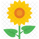 Girasol Flor Flor Icon