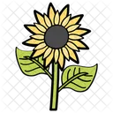 Flor Girasol Naturaleza Icon