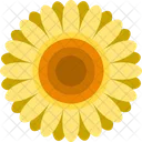 Girasol  Icono