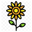 Girasol  Icono