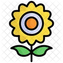 Girasol Flor Naturaleza Icono