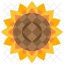 Girasol Flor Florecer Icon