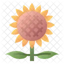 Girasol  Icono