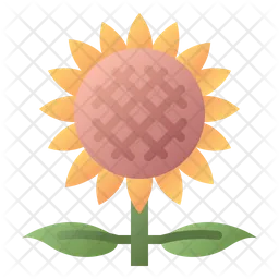 Girasol  Icono