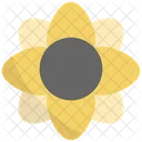 Girasol Icon