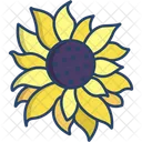 Girasol Flor Flores Icono
