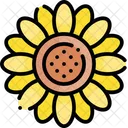 Girasol  Icono