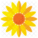 Flor del sol  Icon