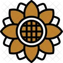 Girasol  Icon