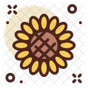 Girasol  Icon