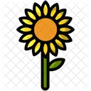 Girasol  Icono