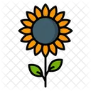 Girasol  Icono